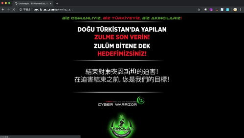 常見網(wǎng)絡(luò)安全風(fēng)險(xiǎn)及應(yīng)對(duì)策略 聚焦網(wǎng)絡(luò)與信息安全軟件開發(fā)